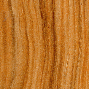 Qian-Solid Wood Hpl Board Door Moisture-proof Safe Wooden Interior Hpl Door-7